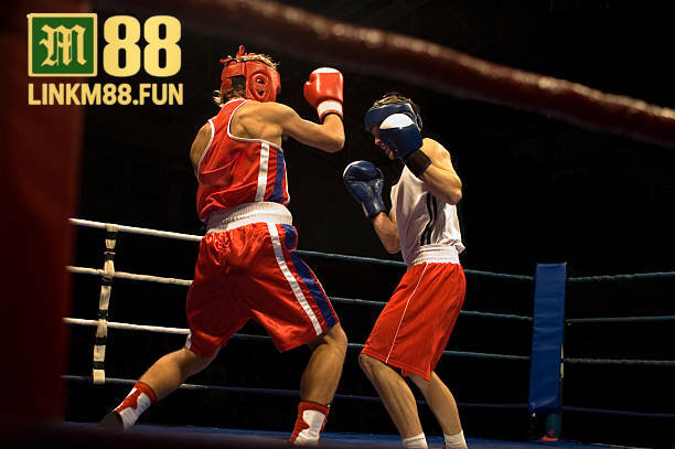 Cược quyền anh MMA link M88