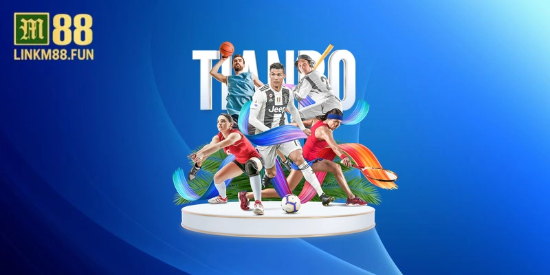 Ở Việt Nam có được chơi cá cược bóng đá hợp pháp không?